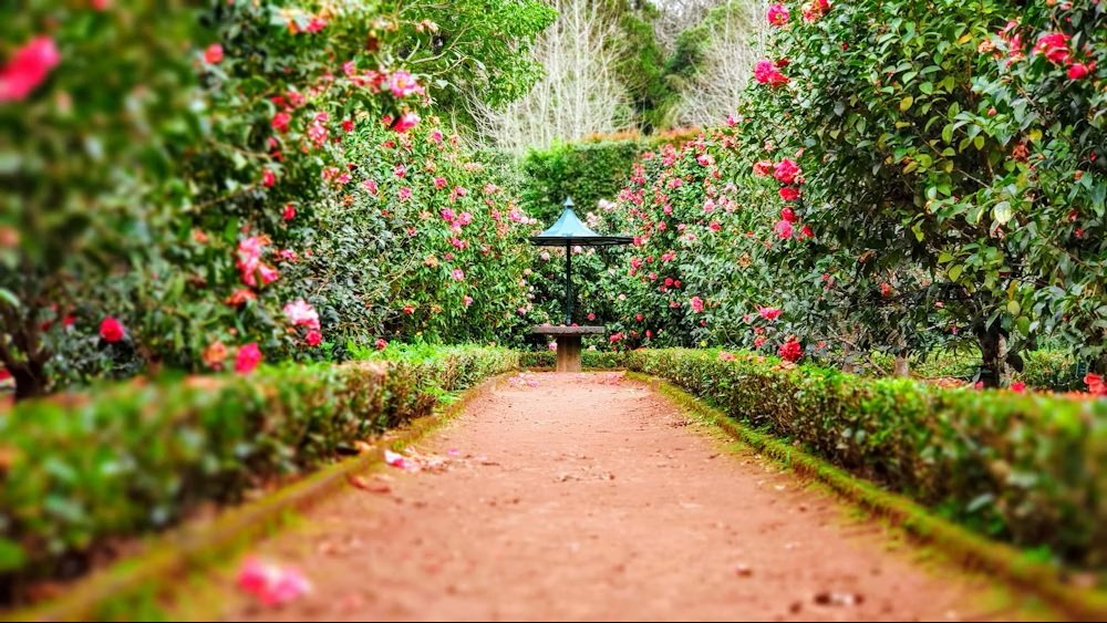 Landscaped green garden and open spaces